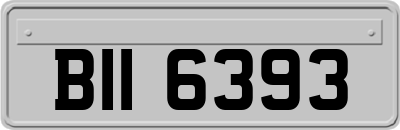 BII6393