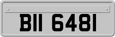 BII6481
