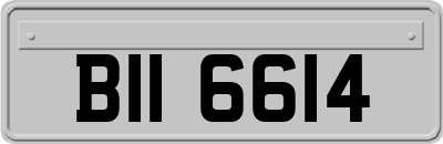 BII6614