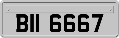 BII6667