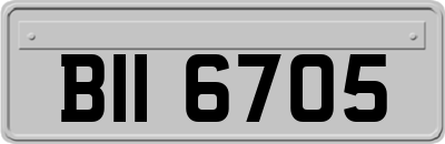 BII6705