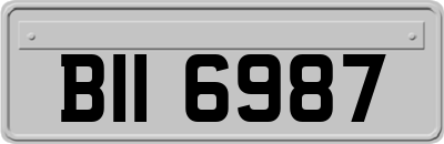 BII6987