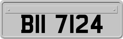 BII7124