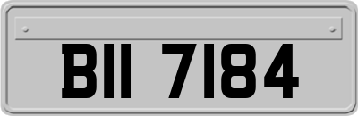 BII7184