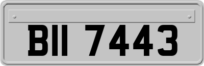 BII7443