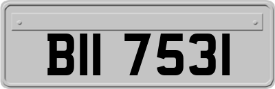 BII7531