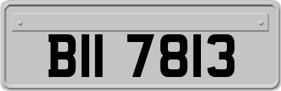 BII7813