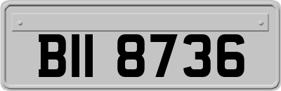 BII8736