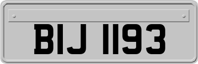 BIJ1193