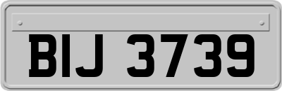 BIJ3739