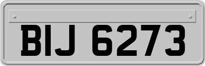 BIJ6273