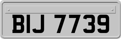 BIJ7739