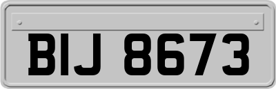 BIJ8673