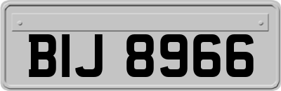 BIJ8966