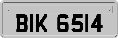 BIK6514