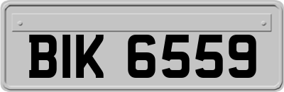 BIK6559