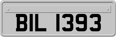 BIL1393