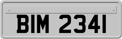 BIM2341