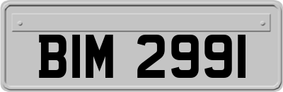BIM2991