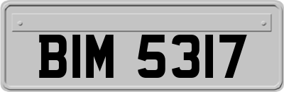BIM5317