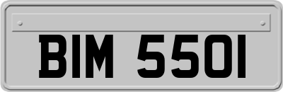 BIM5501