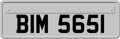 BIM5651