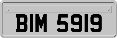 BIM5919