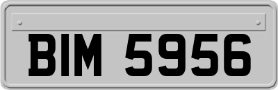 BIM5956
