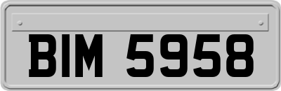 BIM5958