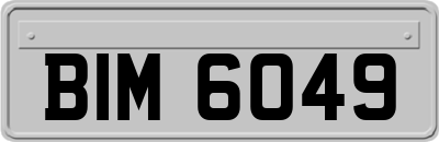 BIM6049