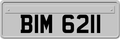 BIM6211