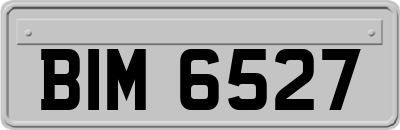 BIM6527