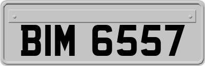BIM6557