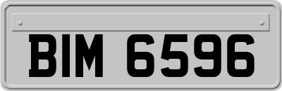 BIM6596