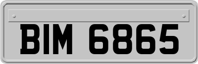 BIM6865