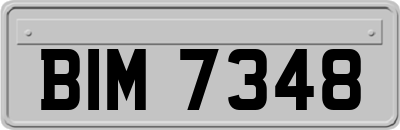 BIM7348
