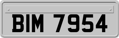 BIM7954