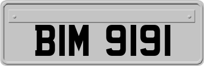 BIM9191