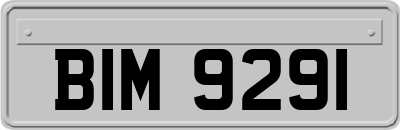 BIM9291
