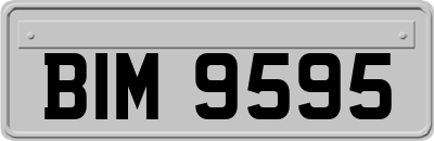 BIM9595