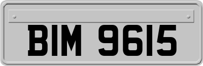 BIM9615