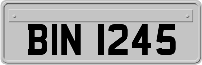 BIN1245