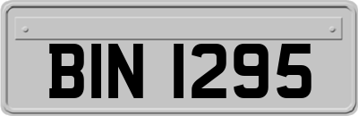 BIN1295
