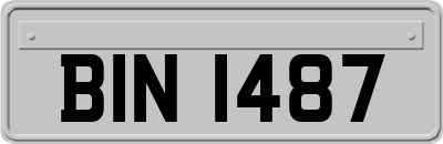 BIN1487