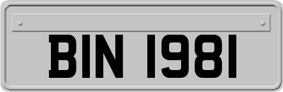 BIN1981
