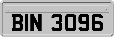 BIN3096