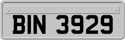 BIN3929