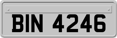 BIN4246