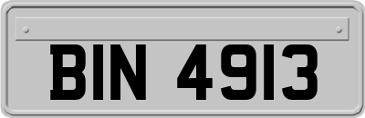 BIN4913