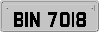 BIN7018